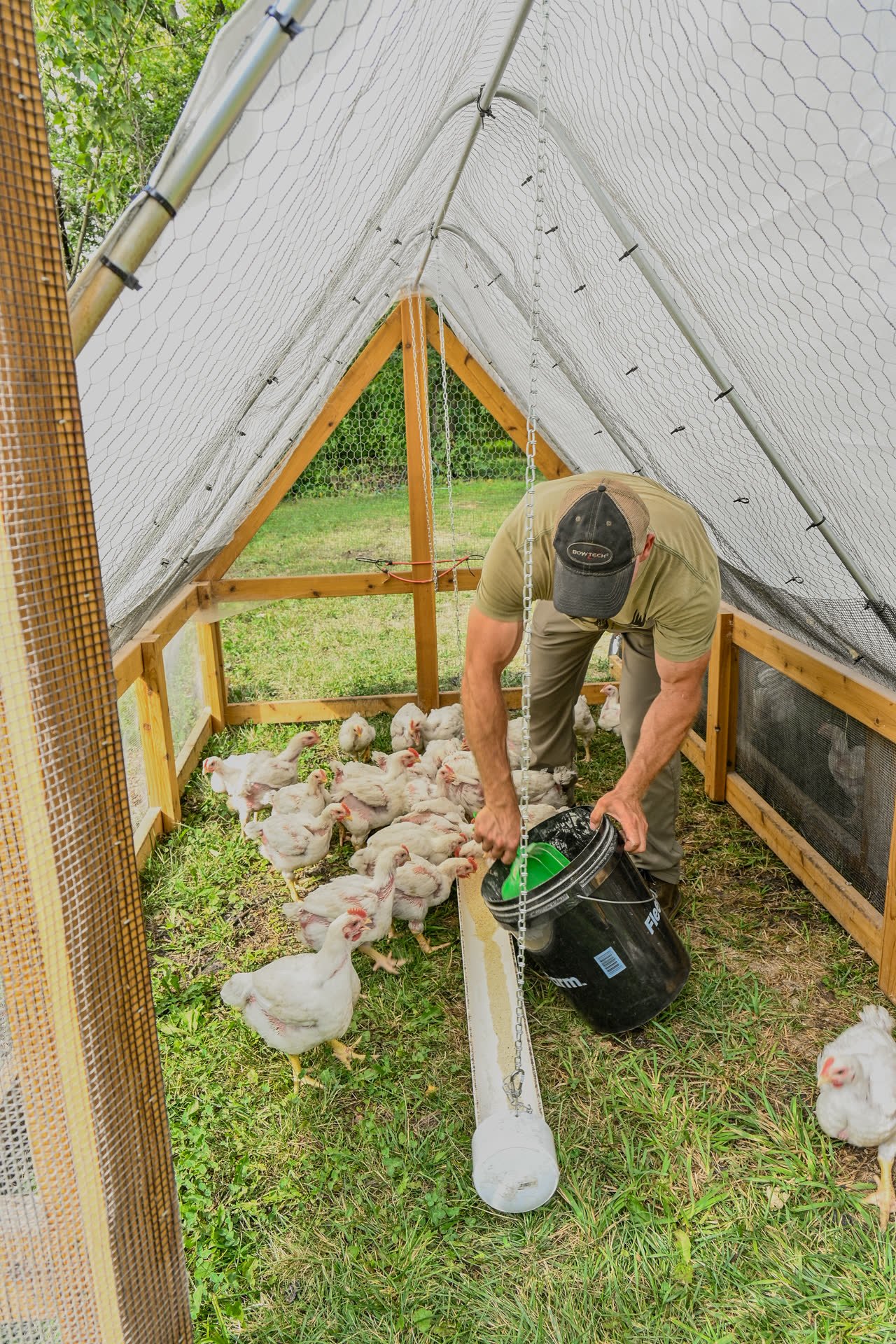Farmer bending down inside a pasture pen to refill the chickens' waterer