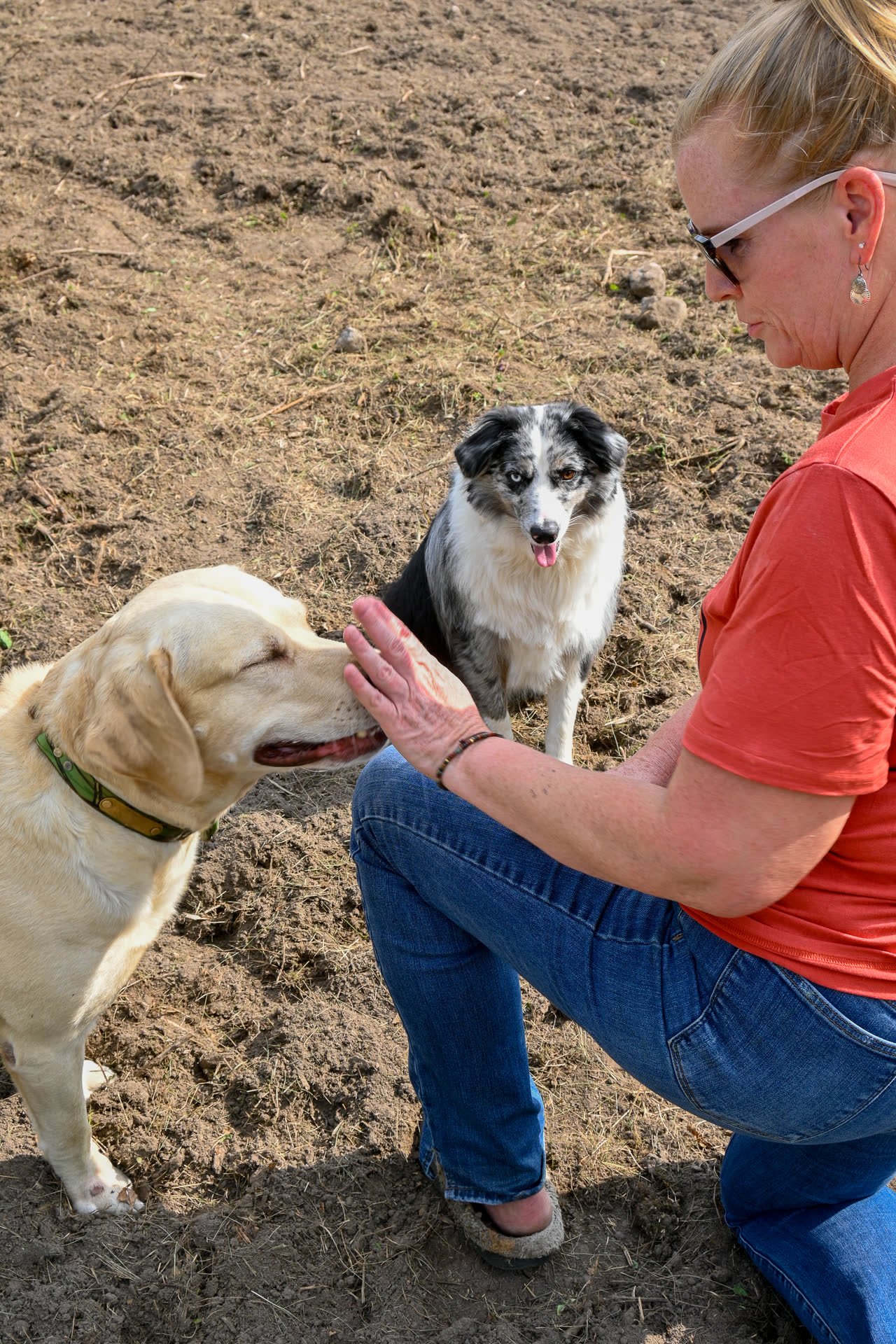 Sorell crouched in the field with Apollo and Casey, mid-laugh